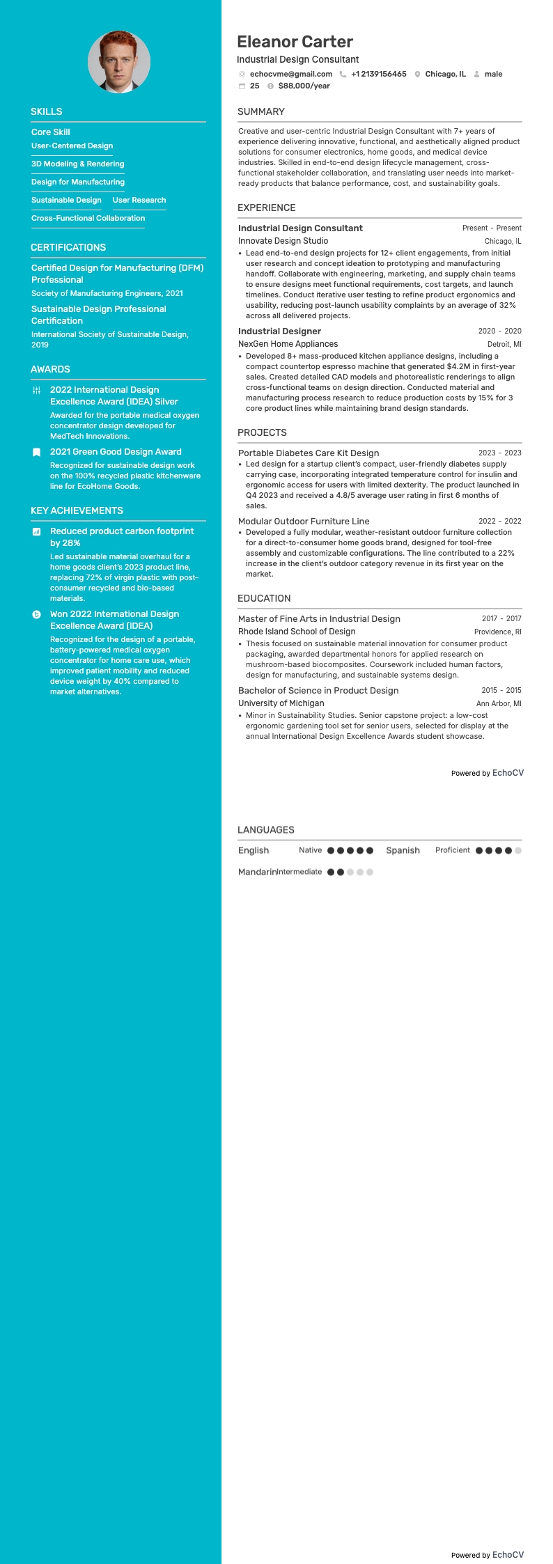 インダストリアルデザインコンサルタント example resume