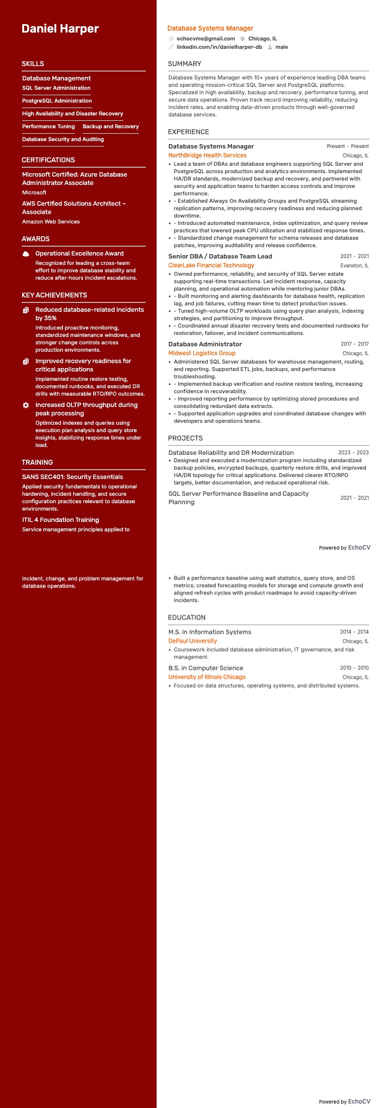 Database Systems Manager example resume