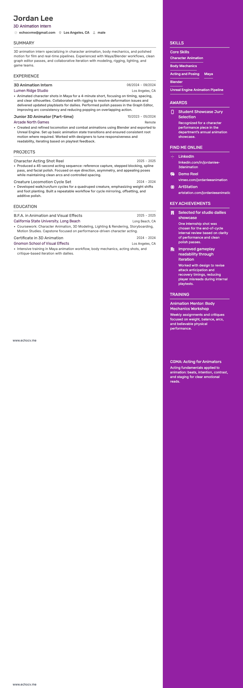 3D Animation Intern example resume