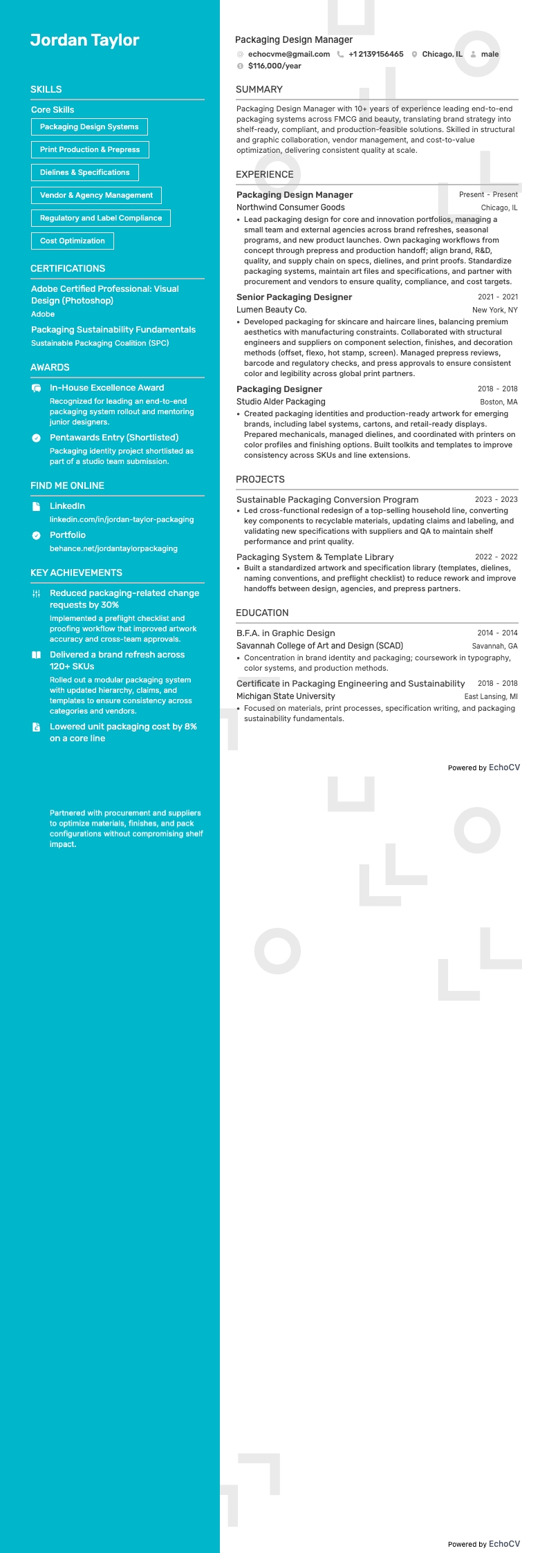 Packaging Design Manager full preview