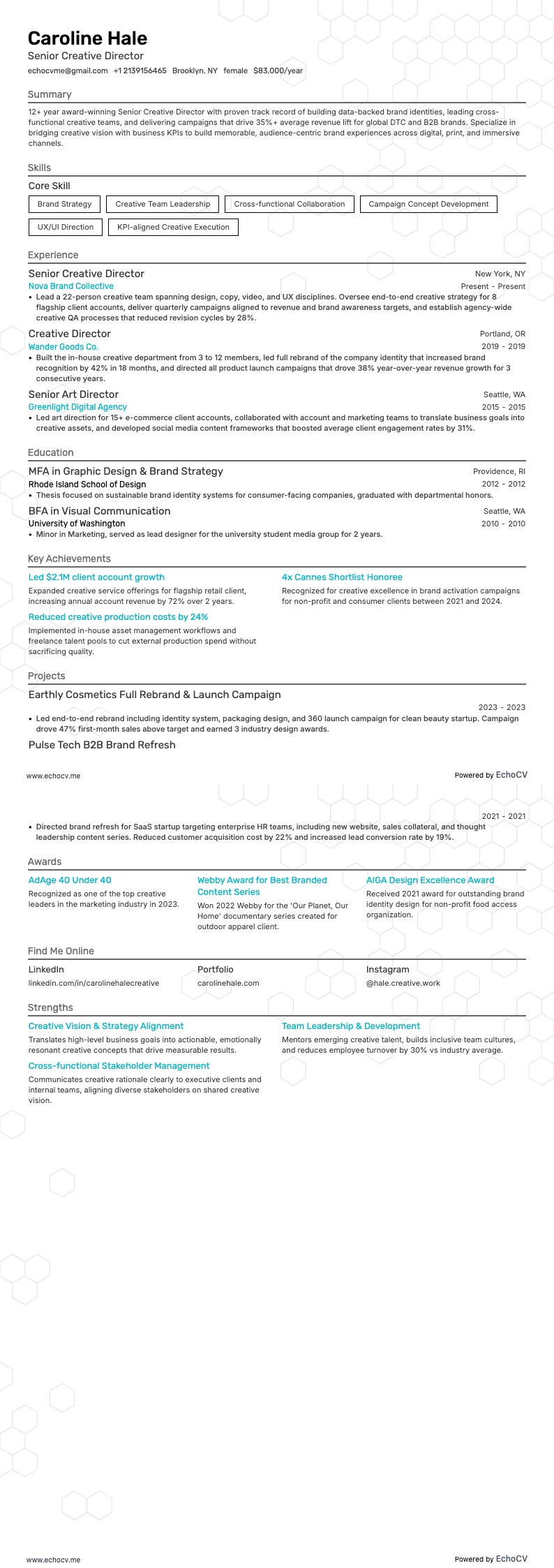 Giám đốc sáng tạo cấp cao example resume