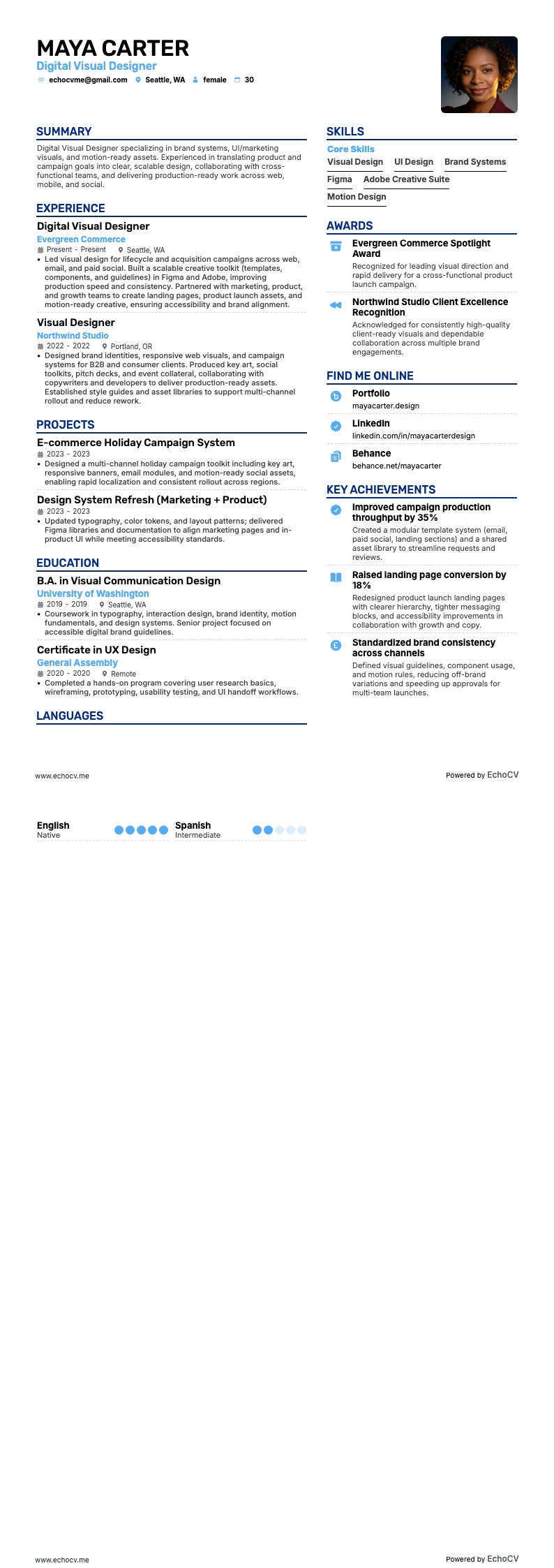 Digital Visual Designer example resume